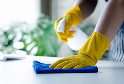 Dusting & Surface Cleaning